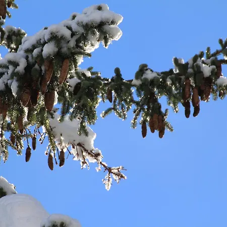 エーデルワイスホフ