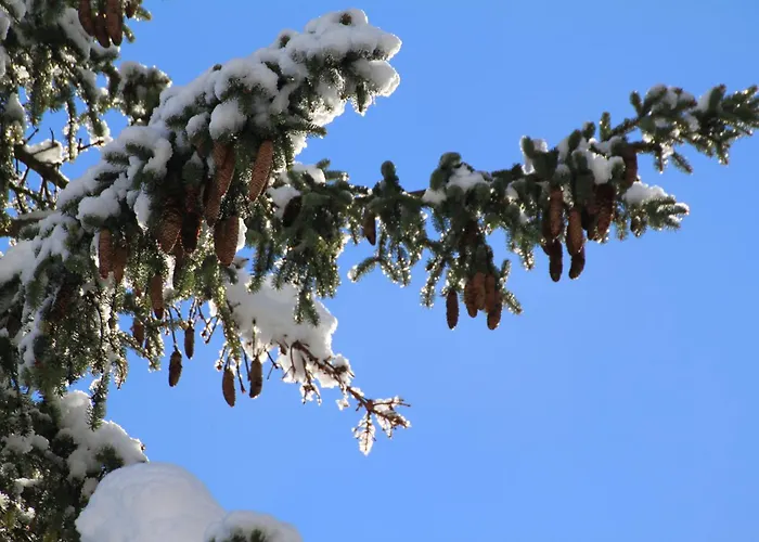 エーデルワイスホフ