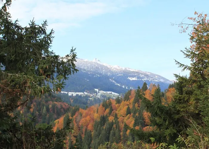 Edelweisshof 2* Birnbaum